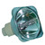Original Inside 69791 Bulb (Lamp Only) Various Applications with Osram bulb inside - 240 Day Warranty