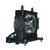Original Inside Lamp & Housing for the Sony HW55ES-W Projector with Philips bulb inside - 240 Day Warranty