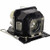 HCP-60X Original OEM replacement Lamp