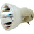 Jaspertronics™ OEM 69814 Bulb (Lamp Only) Various Applications with Original High-Quality bulb inside - 240 Day Warranty