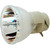 Jaspertronics™ OEM 69814 Bulb (Lamp Only) Various Applications with Original High-Quality bulb inside - 240 Day Warranty