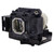 308929 Original OEM replacement Lamp