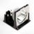 c67RPi Original OEM replacement Lamp