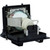 DT8901 replacement lamp