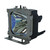 dv8106 Original OEM replacement Lamp