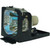 PLC-20 Original OEM replacement Lamp