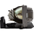 TX782W-LAMP