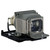 VPL-EW245 Original OEM replacement Lamp