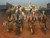 Charge of the Bar T Brigade by Andy Thomas - Canvas Giclee Limited Edition Artist Proof 15 - 36 x 48