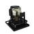 PT-AE3000U Original OEM replacement Lamp