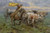 Storm Chasers by Andy Thomas - Canvas Giclee Limited Edition Signed & Numbered 350 - 20 x 30