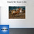 Stampede Stampede! by Andy Thomas - Canvas Open Edition - 12 x 16