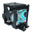 PT-AE500U-LAMP