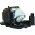 CPX8J replacement lamp
