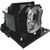 CPX8J replacement lamp