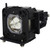 PT-DW830LW replacement lamp