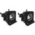 PT-DZ870W replacement lamp