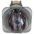 Jaspertronics™ OEM Lamp (Bulb Only) for the Acer P5280 Projector with Philips bulb inside - 240 Day Warranty