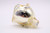 EzPro-783S replacement lamp