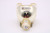 EzPro-783L replacement lamp