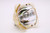 EzPro-783 replacement lamp