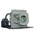 HDP404 Original OEM replacement Lamp