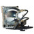 SP920P-LEFT-LAMP