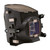 DS+305W replacement lamp