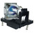 RLM-W12 replacement lamp