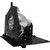 HD50LPW175YX1-LAMP