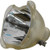 Bare Bulb for The Digital Projection 102-246 with Original High-Quality bulb - 240 Day Warranty