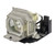 Original Inside Lamp & Housing for the Sony VPL-BW5 Projector with Philips bulb inside - 240 Day Warranty