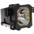 DLA-RS2 Original OEM replacement Lamp