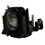 Compatible Lamp & Housing for the Panasonic PTD6000U Projector - 90 Day Warranty