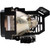DLA-RS40-LAMP
