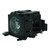 Image-Pro-8755D-LAMP