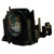 Compatible Lamp & Housing for the Panasonic PT-DW730U Projector - 90 Day Warranty