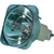 SP820 Bulb