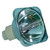 C3X Lumis Bulb