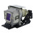 SP-LAMP-052