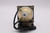 SP920P-RIGHT Original OEM replacement Lamp
