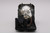 TDP-T355J-LAMP