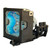 PT-L785 Original OEM replacement Lamp