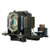 ED-D10N replacement lamp