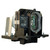 ED-D10N replacement lamp