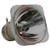 Jaspertronics™ OEM Lamp (Bulb Only) for the Optoma 3DS1 Projector with Philips bulb inside - 240 Day Warranty
