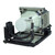 VPL-SW620-LAMP
