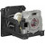 LT245 replacement lamp