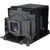 TDP-T100 Original OEM replacement Lamp