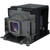 TLPLW10